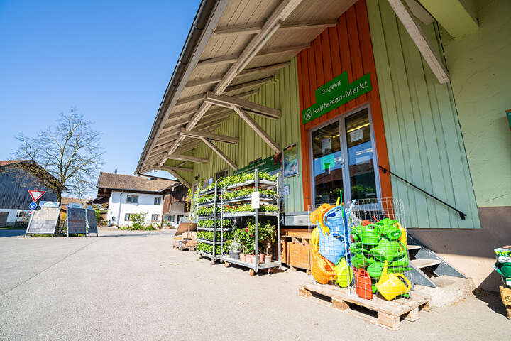 DSC01539 Petting  Außen Kopie